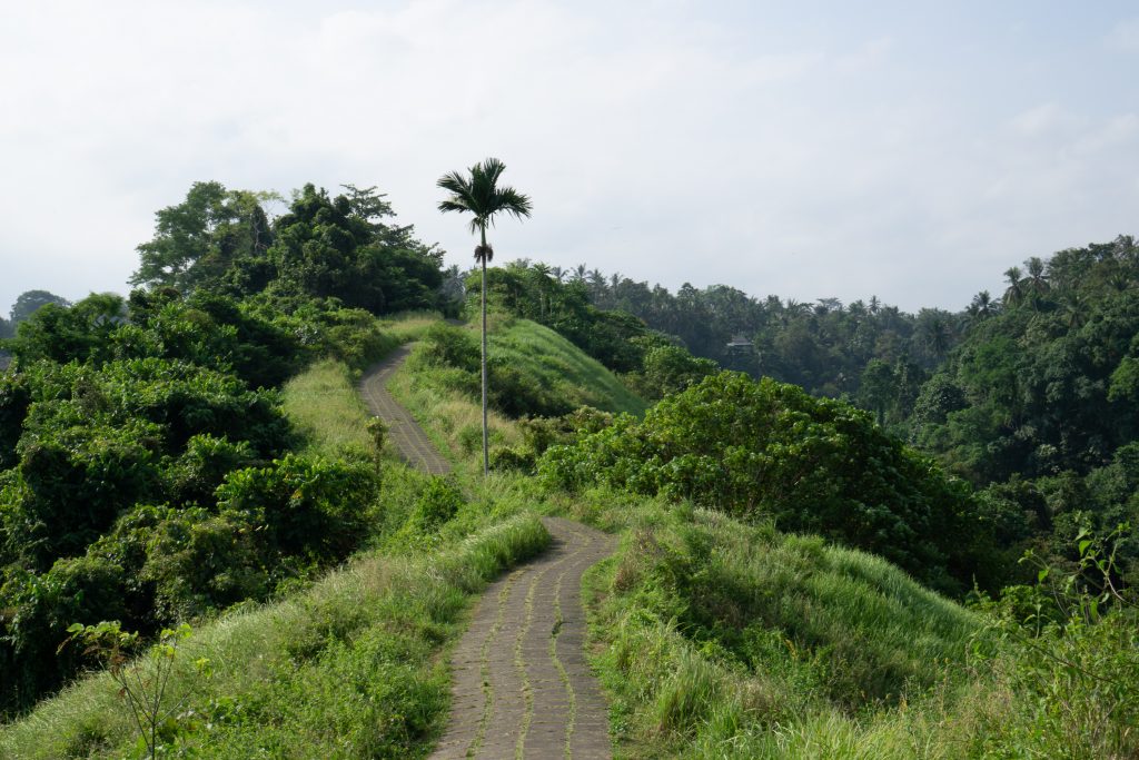 Ridge Walk Bali