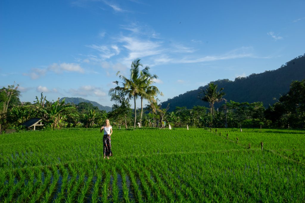 Sidemen Rice Fields Bali