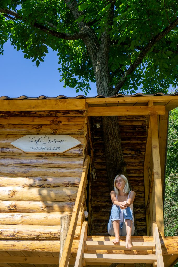 Loft Treehouse Transylvania Log Cabins Pesteana