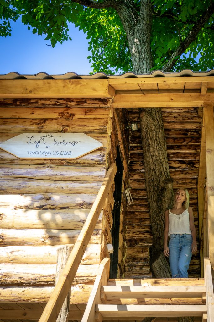 Loft Treehouse Transylvania Log Cabins Pesteana